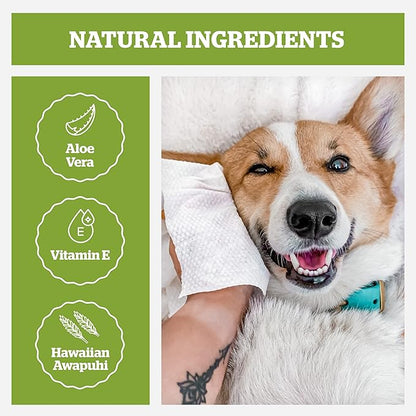 Pogi’s Dog Grooming Wipes – Hypoallergenic Pet Wipes for Paws, Body &amp; Butt – Cleaning &amp; Hydrating, Green Tea Scent, 400-Count