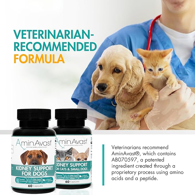 AminAvast Small Dogs &amp; Cat Kidney Support - Promotes Healthy Kidney Support in Cats &amp; Small Dogs - 300mg, 60 Capsule