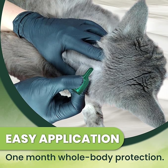 Flea and Tick Prevention for Cats: Flea &amp; Tick Topical for Cats Over 1.5lbs, 6 Dose Flea and Tick Control/Prevention for 6 Months (6 Pack)