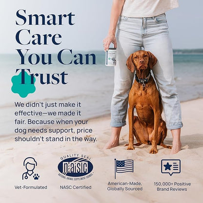 Veterinary Formula Anal Gland Support for Dogs – Vet-Formulated No Scoot Chews with Pumpkin, Ginger, Agave Inulin &amp; Probiotics – Supports Scooting, Stool Quality &amp; Digestive Health, 60 Soft Chews