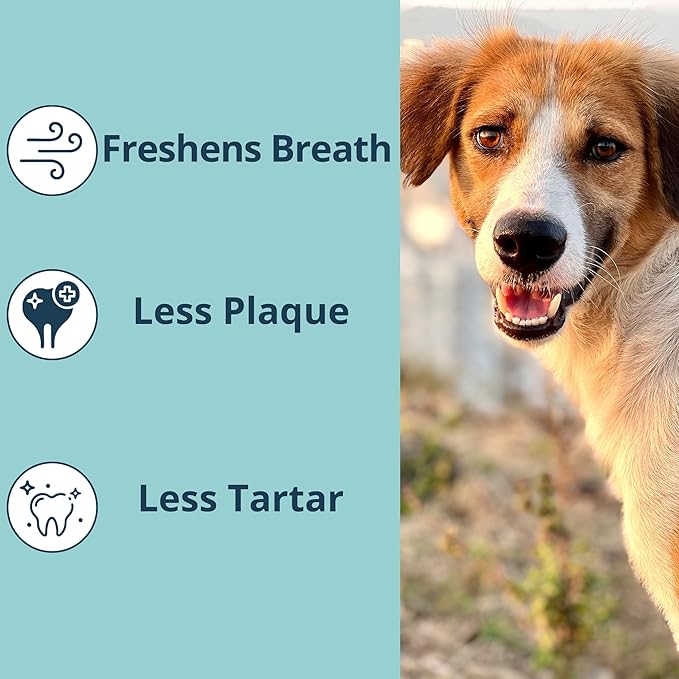 NOVEHA Pet Dental Powder | Vet-Approved Oral Care for Dogs &amp; Cats | Natural Tartar Remover for Dogs Fresh Breath Formula | Easy Teeth Cleaning for Daily Use (1 - Pack)