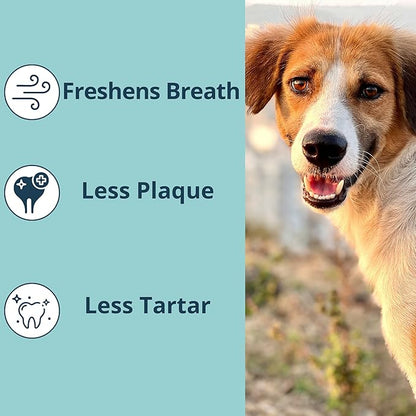 NOVEHA Pet Dental Powder | Vet-Approved Oral Care for Dogs &amp; Cats | Natural Tartar Remover for Dogs Fresh Breath Formula | Easy Teeth Cleaning for Daily Use (1 - Pack)