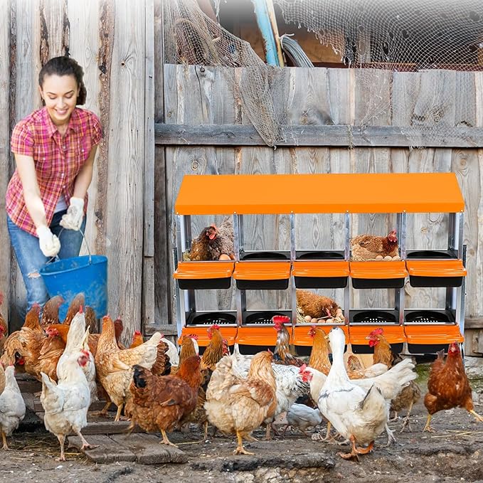 Chicken Nesting Box, 10 Hole 2 Layer Hen Nest Boxes with Legs, Roll Away Eggs Laying Boxes,Cleanable Pull Out Hen Roosting Boxes