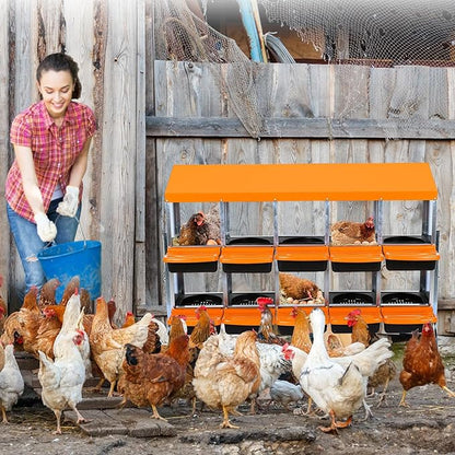 Chicken Nesting Box, 10 Hole 2 Layer Hen Nest Boxes with Legs, Roll Away Eggs Laying Boxes,Cleanable Pull Out Hen Roosting Boxes