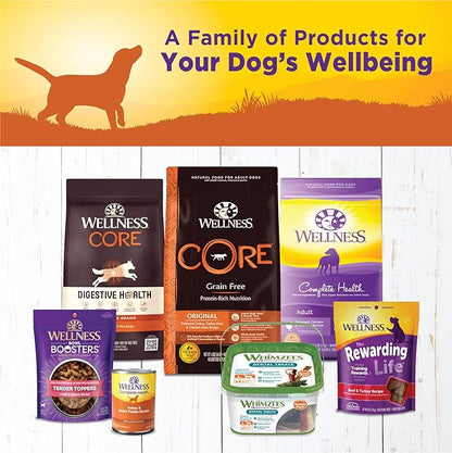 Wellness Complete Health Natural Wet Canned Dog Food Turkey &amp; Sweet Potato, 12.5-Ounce Can (Pack of 12)
