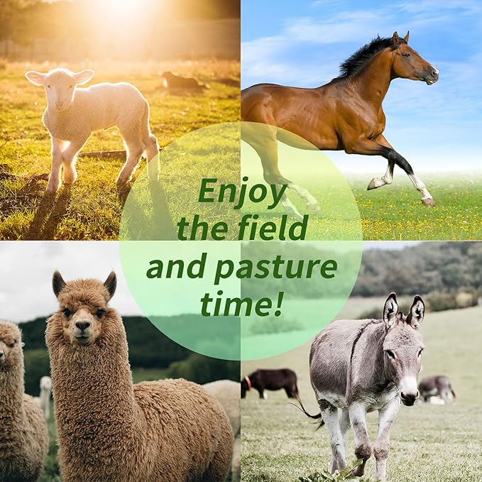 17-Inch Equine Ball for Play &amp; Training - Anti-Burst, Mega Horse Soccer Ball for Goat, Donkey