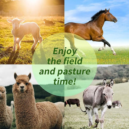 17-Inch Equine Ball for Play &amp; Training - Anti-Burst, Mega Horse Soccer Ball for Goat, Donkey