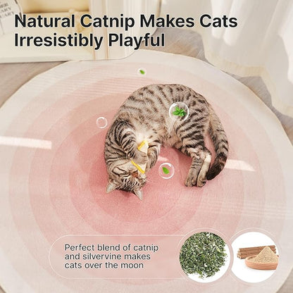 Potaroma Loofah Cat Chew Toys with Catnip and Silvervine, 3PCS Interactive Kitten Loofa Dental Teething and Biting Catnip Toys for Cat&