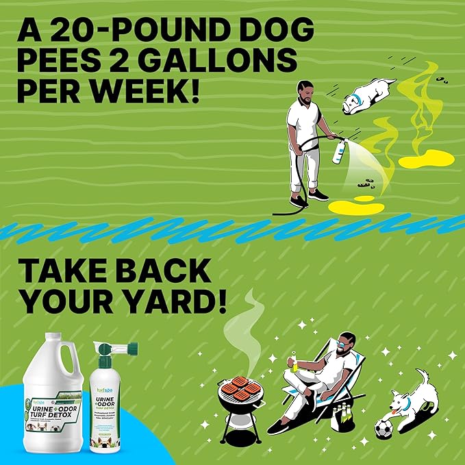 Urine &amp; Odor Turf Detox: 32 oz Mango Scented Professional Enzyme Cleaner &amp; Odor Eliminator for Artificial Grass, Turf, Concrete &amp; Patios, Pet Urine Enzymatic Cleaner for Dogs &amp; Cats
