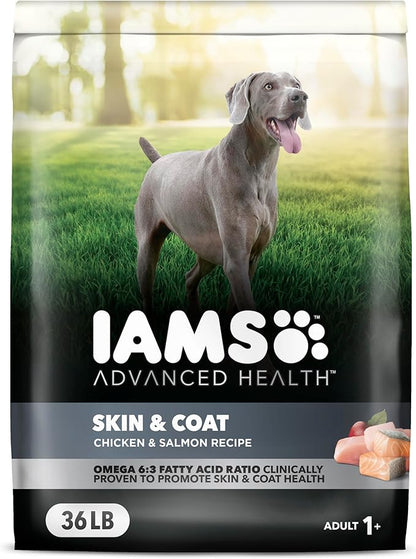 IAMS Advanced Health Skin &amp; Coat Adult Dry Dog Food Chicken and Salmon Recipe, 36 lb. Bag