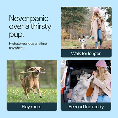 MalsiPree Insulated Dog Water Bottle - 24 Oz, Pink - Leak-Proof Stainless Steel Portable Travel Dispenser &amp; Bowl