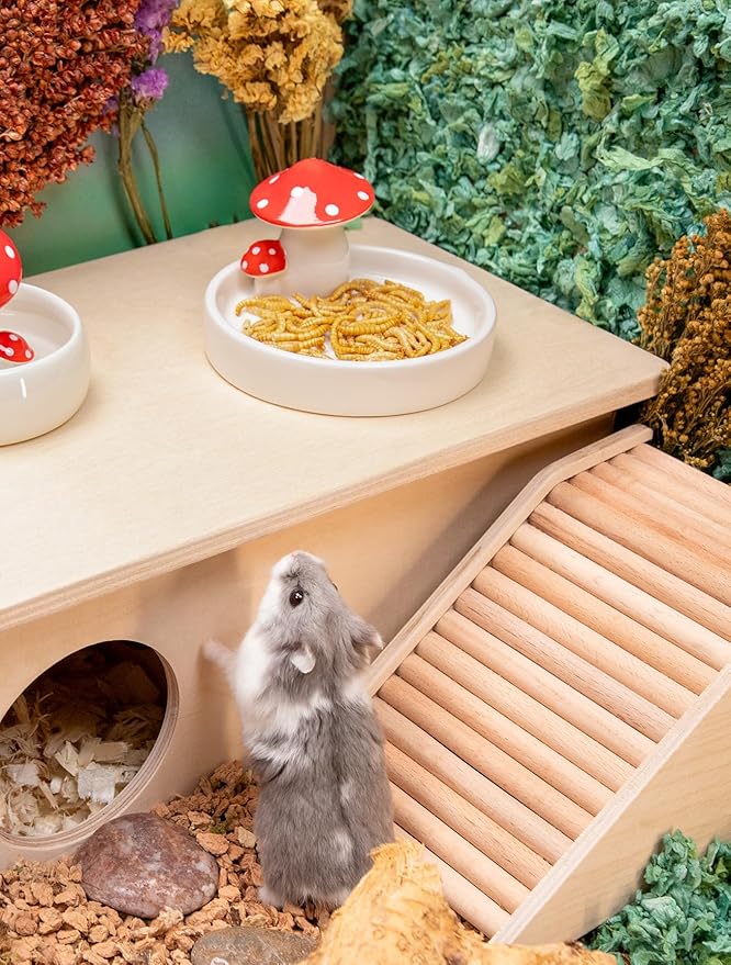Niteangel Small Animal Snack &amp; Treats Toy - Small Critter Natural Treat for Dwarf Syrian Robo Hamsters Gerbils Mice Lemmings Sugar Glider Hedgehogs Chickens Birds or Other Small-Sized Pets