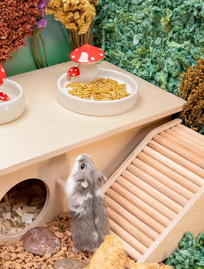 Niteangel Small Animal Snack &amp; Treats Toy - Small Critter Natural Treat for Dwarf Syrian Robo Hamsters Gerbils Mice Lemmings Sugar Glider Hedgehogs Chickens Birds or Other Small-Sized Pets
