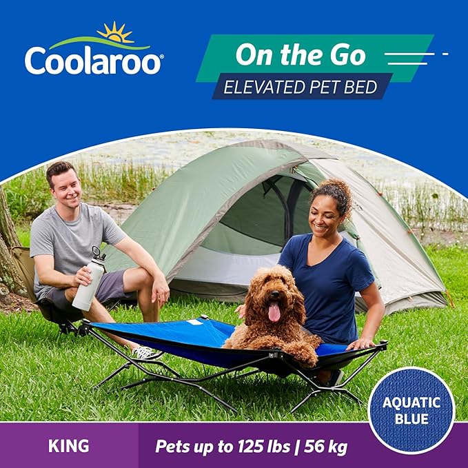 Coolaroo On-The-Go Elevated Dog Bed - Foldable Pop-Up Travel Dog Bed with Breathable, Moisture-Resistant Fabric, Carry Bag Included, Lightweight &amp; Portable, Aquatic Blue, Extra Large