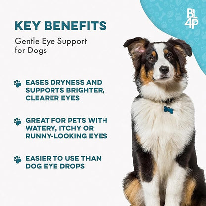 Dog Eye Care &amp; Infection Treatment, Natural Dog Supplements for Conjunctivitis, Swelling, Dry Eyes and Discharge, Easy to Use, No More Struggle with Canine Drops, 400 Small Pills