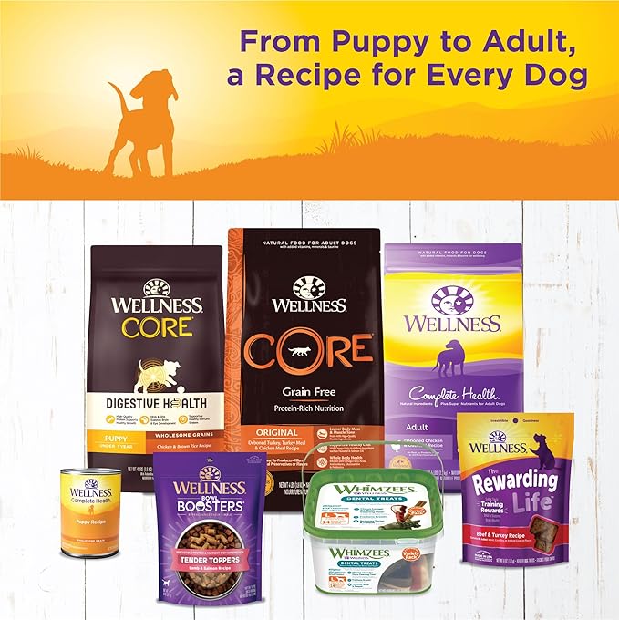 Wellness Complete Health Natural Wet Canned Puppy Food, Puppy Chicken &amp; Salmon 12.5-Ounce Can (Pack of 12)