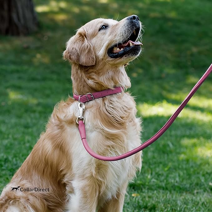 CollarDirect Rolled Leather Dog Collar, Soft Padded Round Puppy Collar, Handmade Genuine Leather Collar Dog Small Large Cat Collars 13 Colors (13-16 Inch, Pink Textured)