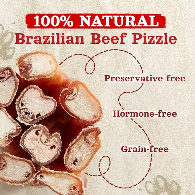 Natural Farm Odor-Free Thick Bully Sticks (12”, 5-Pack) All-Natural Long-Lasting Dog Chews, 100% Beef Pizzle, Grass-Fed, Grain-Free, Protein for Muscle Development &amp; Energy, Perfect for Large Dogs