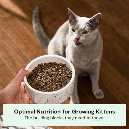 Open Farm, Grain Free Dry Kitten Food, Nutrient Dense Kibble with Protein, Vitamin A, Taurine, Naturally Occurring Fibers &amp; Prebiotics, Homestead Turkey &amp; Chicken Recipe for Kittens, 4lb Bag