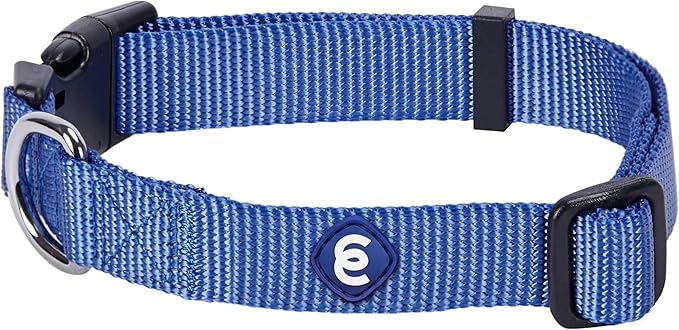Blueberry Pet Essentials Medium Dog Collar in Marina Blue | Adjustable &amp; Eco-Friendly Durable Nylon Strap | Classic Collar for Medium Dogs, Boy &amp; Girl Pets