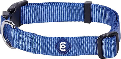 Blueberry Pet Essentials Medium Dog Collar in Marina Blue | Adjustable &amp; Eco-Friendly Durable Nylon Strap | Classic Collar for Medium Dogs, Boy &amp; Girl Pets