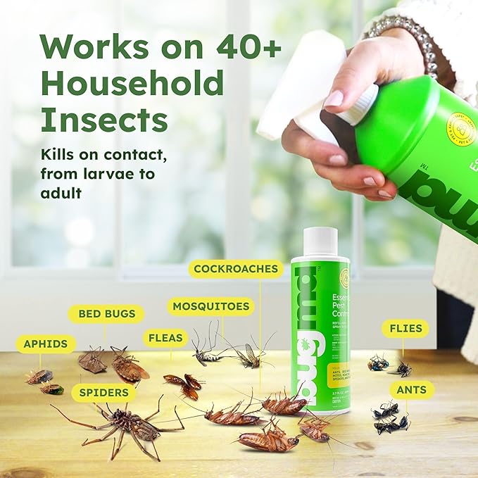 BugMD Ant Killer &amp; Bug Spray Concentrate - Indoor Cockroach and Roach Killer, Spider Spray for Home, Fly and Insect Defense, Essential Oils, Plant-Powered, Eco-Friendly Pest Control - 3.7 Oz