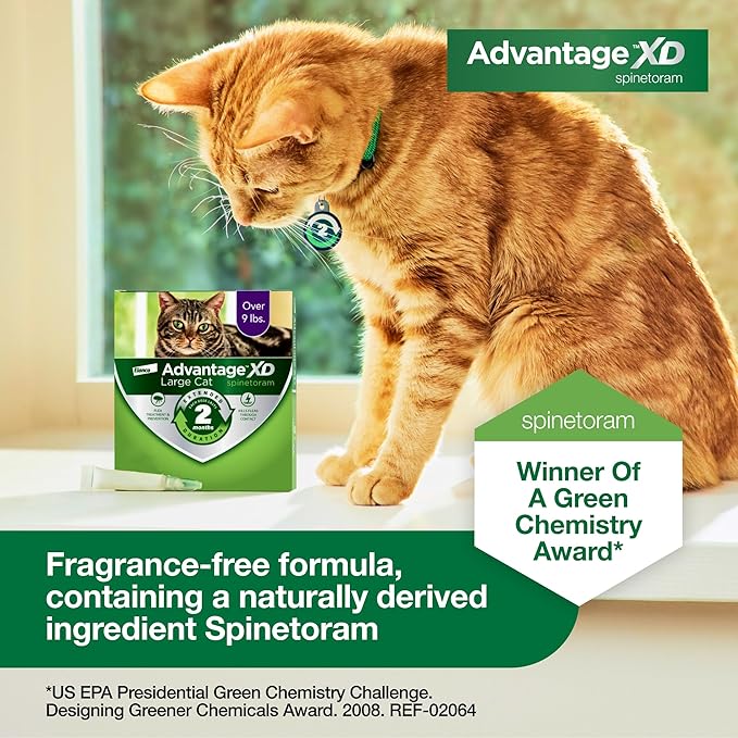 Advantage XD Large Cat Flea Prevention &amp; Treatment For Cats over 9lbs. | 2-Topical Doses, 2-Months of Protection Per Dose