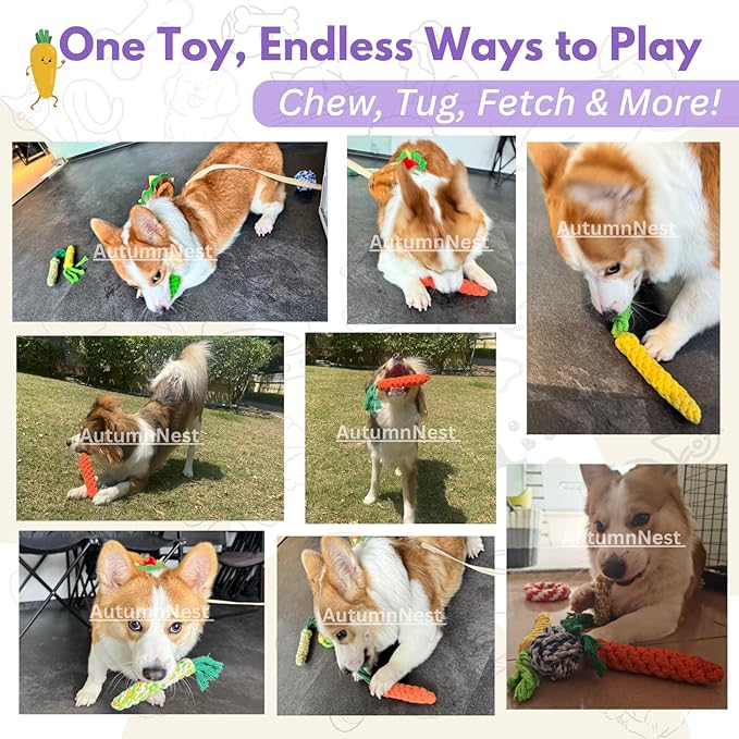 4PCS Mixed Color Woven Pet Chew Set (Yellow, Green, Orange, Rainbow), Dog Chew Toys, Cat Teething Toys, Durable &amp; Safe Interactive Pet Toys