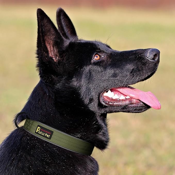 Plutus Pet Tactical Dog Collar, Reflective, Adjustable Heavy Duty Dog Collar, Soft Padded and Comfortable, for Small Medium and Large Dogs (Ranger Green, M)