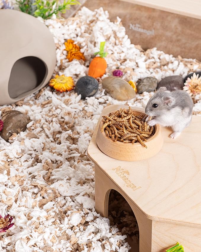 Niteangel Small Animal Snack &amp; Treats - Small Critter Natural Treat for Dwarf Syrian Hamsters Gerbils Mice Sugar Glider Hedgehogs Chickens Birds