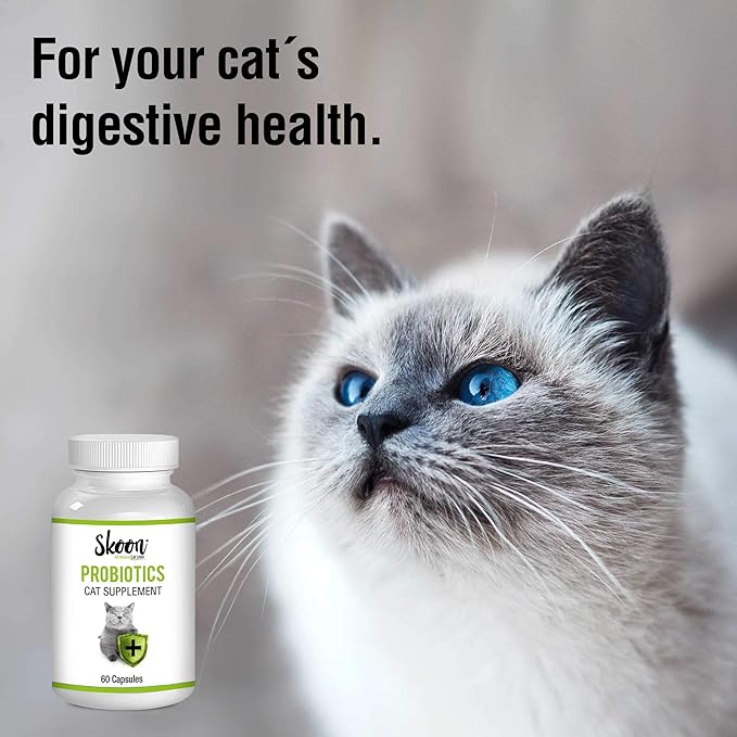 Skoon Probiotics Cat Supplement (60 Capsules) - Chicken &amp; Tuna Flavored - Improves Gut Health, Immunity, Skin Conditions, and Litterbox Smell