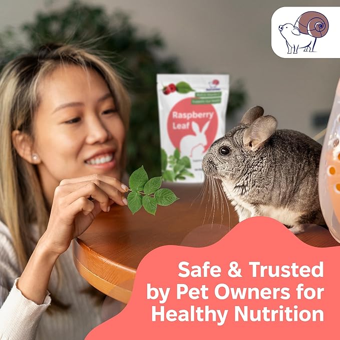 Snout and Shell Raspberry Leaf for Small Pets – 100% Natural Treat for Rabbits, Guinea Pigs, Hamsters &amp; More – Rich in Vitamin C &amp; Supports Gut Health – 1 oz (30g)