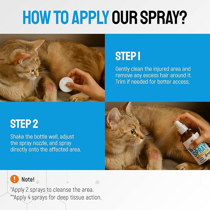 Cat Wound Care Spray with Silver – Wounds, Rashes, Hot Spots, Itch, Scratching, Irritation, Bites &amp; Burns – Use a Cat Cone to Prevent Licking – Safe Formula – 4 Oz