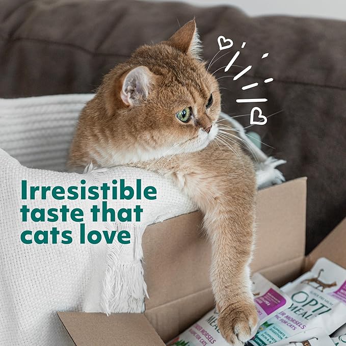 OPtimeal Indoor Cat Dry Food- Chicken &amp; Brown Rice Healthy Recipe Cat Food Dry for Adult Cats - Proudly Ukrainian