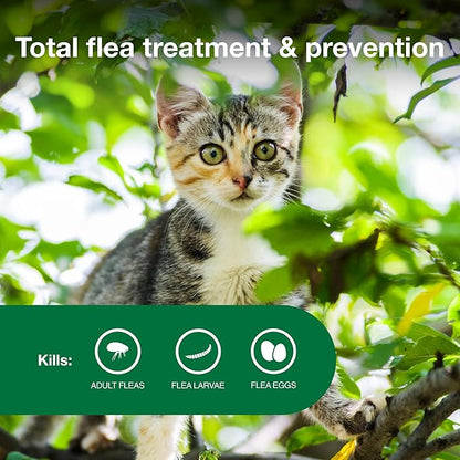 Advantage II Kitten Vet-Recommended Flea Treatment &amp; Prevention | Cats 2-5 lbs. | 2-Month Supply