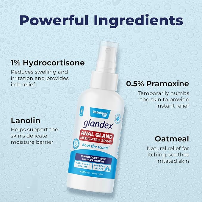 Vetnique Glandex Medicated Dog Butt Wipes or Spray for Dog Scooting - Topical Anti Itch Skin Relief for Soothing Inflamed Anal Glands in Dogs &amp; Cats - Fast Acting Formula (4oz Spray)