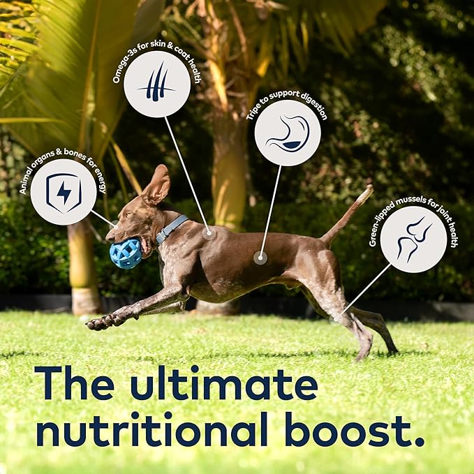 ZIWI Peak Air-Dried Dog Food – Mackerel &amp; Lamb - All Natural, High Protein, Grain Free, Limited Ingredient w/ Superfoods (35.2oz)