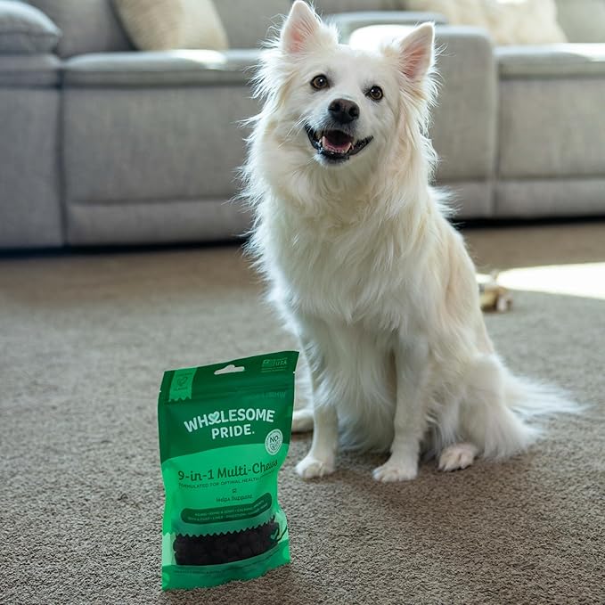 Wholesome Pride 9-in-1 Dog Multifunctional Soft Chews – Joint Pain Relief, Hip &amp; Joint Support, Immune, Skin, Gut, Heart, Brain Health – Glucosamine, MSM, Chondroitin – 90 Chews