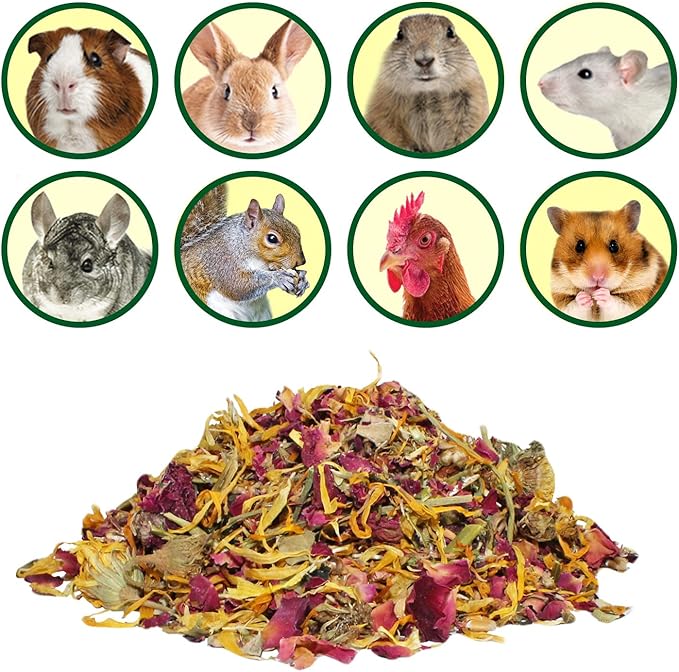 Exotic Nutrition Flower Treat 3 Pack - Healthy Assortment - Hibiscus, Calendula, Rose - for Squirrels, Guinea Pigs, Rabbits, Chinchillas, Prairie Dogs, Degus, Hamster, Gerbils, &amp; Other Herbivores