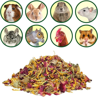 Exotic Nutrition Flower Treat 3 Pack - Healthy Assortment - Hibiscus, Calendula, Rose - for Squirrels, Guinea Pigs, Rabbits, Chinchillas, Prairie Dogs, Degus, Hamster, Gerbils, &amp; Other Herbivores