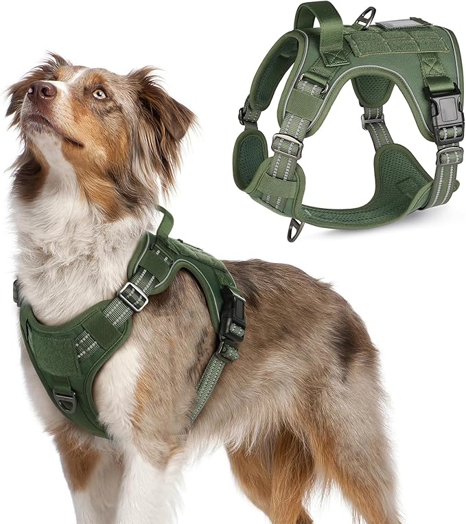 rabbitgoo Tactical Dog Harness Medium Sized Dog, No Pull Military Service Vest with Handle &amp; Molle, Easy Control for Training Walking, Adjustable Reflective Straps, Green, M