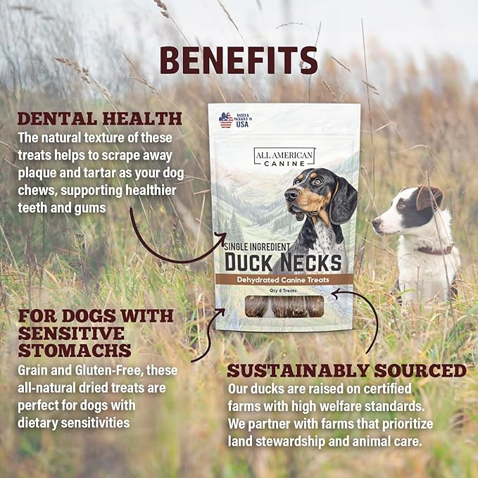 6 Natural Duck Neck Dog Treats – Single Ingredient, Dehydrated &amp; Chewy – Low-Fat, High-Protein Training Reward – Made in USA