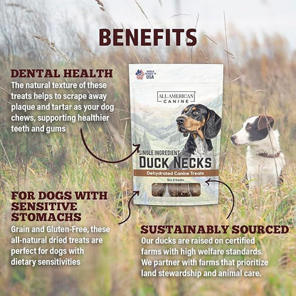 6 Natural Duck Neck Dog Treats – Single Ingredient, Dehydrated &amp; Chewy – Low-Fat, High-Protein Training Reward – Made in USA