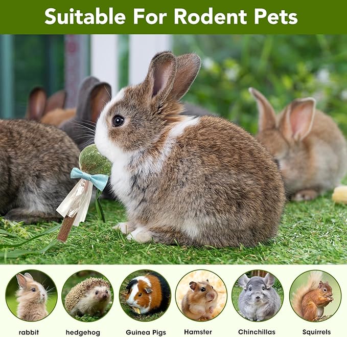 18-Pack Natural Alfalfa &amp; Apple Wood Chew Lollipops for Small Pets - Healthy Dental Toys for Hamsters, Rabbits, Guinea Pigs, Chinchillas