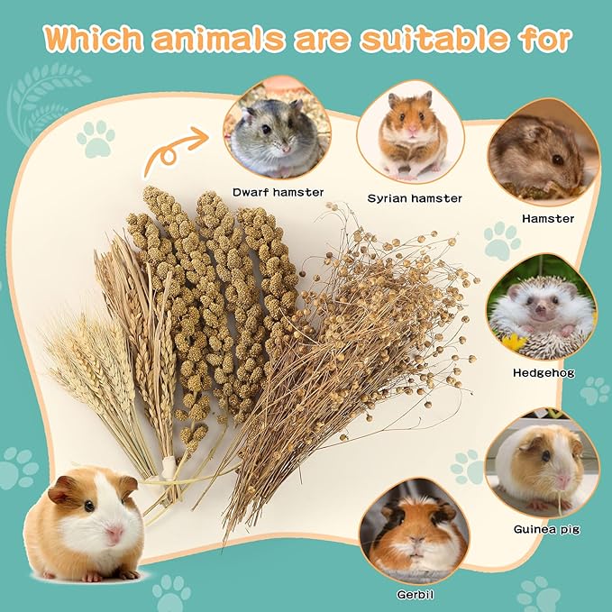 Hamster Spray Set - Natural Snack Grains &amp; Chew Toys for Cage Decoration Accessories, Soft Bedding for Dwarf Syrian Hamsters, Gerbils, Mice &amp; Small Pets