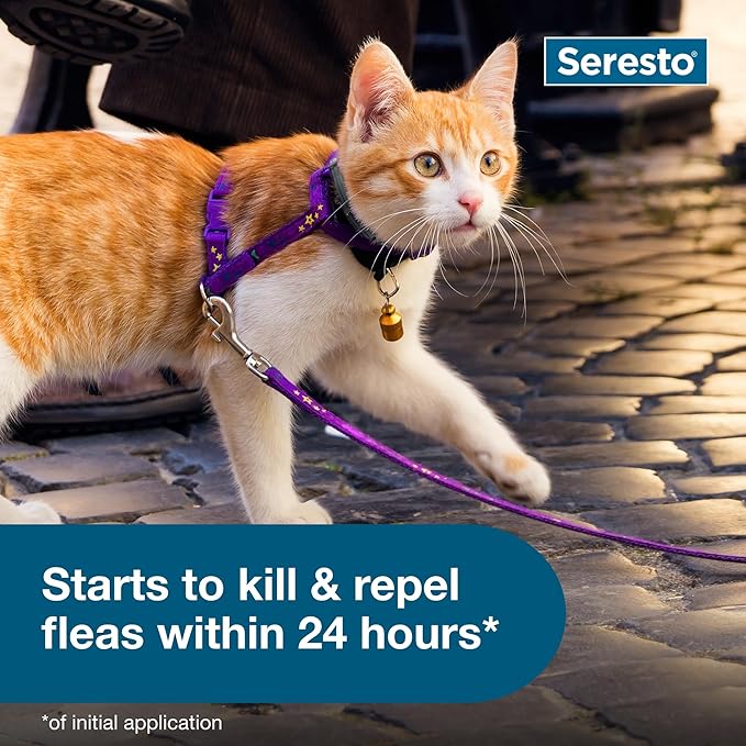 Seresto Cat Vet-Recommended Flea &amp; Tick Treatment &amp; Prevention Collar for Cats | 8 Months Protection