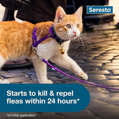 Seresto Cat Vet-Recommended Flea &amp; Tick Treatment &amp; Prevention Collar for Cats | 8 Months Protection
