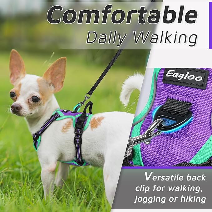 Eagloo Small Dog Harness No Pull, Service Vest with Reflective Strips and Control Handle, Adjustable and Comfortable for Walking, No Choke Pet Harness with 2 Metal Rings, Purple &amp; Green, XS