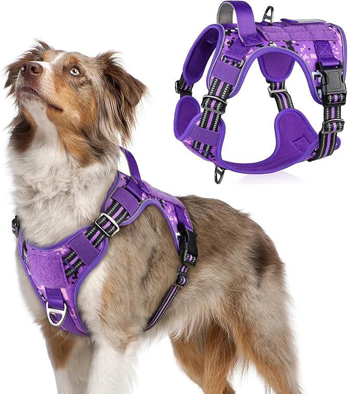 rabbitgoo Tactical Dog Harness Medium Sized Dog, No Pull Military Service Vest with Handle &amp; Molle, Easy Control for Training Walking, Adjustable Reflective Straps, Purple Camo, M