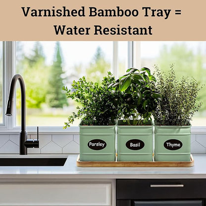 Herb Planter Indoor - 3 Iron Herb Pots with Drainage Holes, Varnished Bamboo Tray, Customizable Labels &amp; Marker Pen - Indoor Herb Garden Planter - 3 Pots for Herbs - Inside Spice Garden - Basil Pot